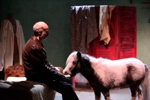 King Mark in leather jacket and horse website size